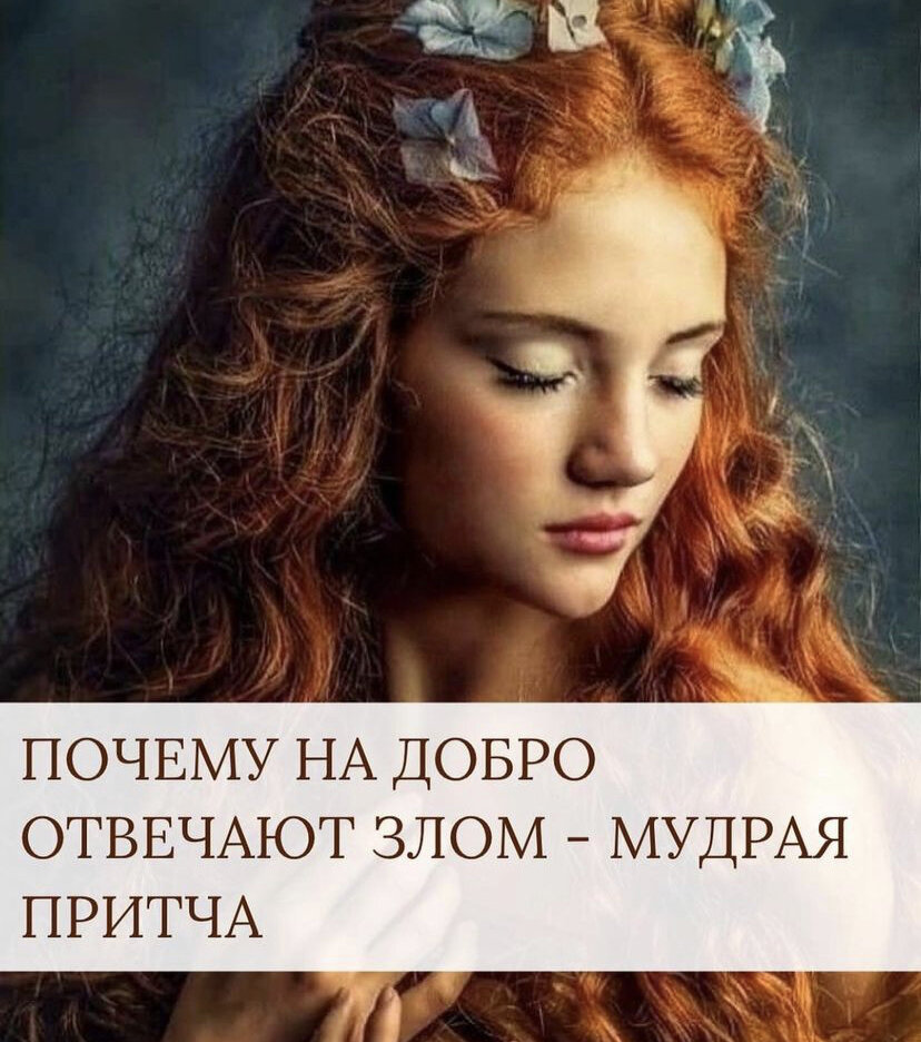 На добро отвечают злом произведения. На добро отвечают злом произведения. На добро отвечают злом произведения. Посвящённые в свете. Посвящение в свете.