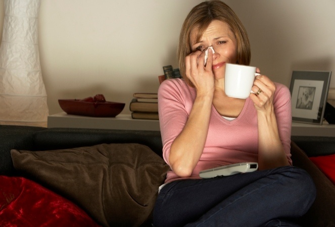 Фото яндекс картинки 