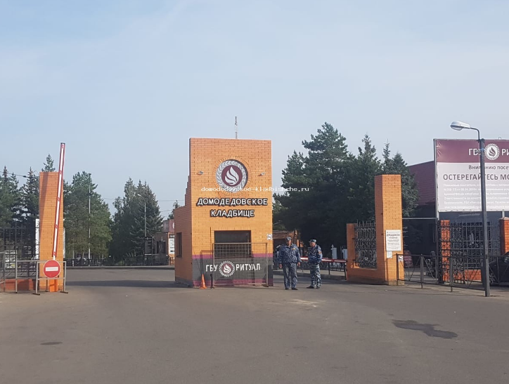 Фотография взята из источника yandex.ru