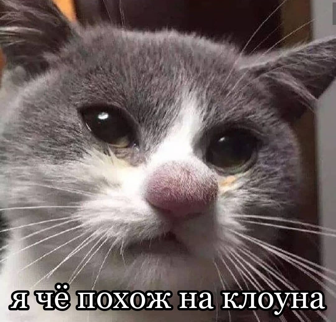 да, похож