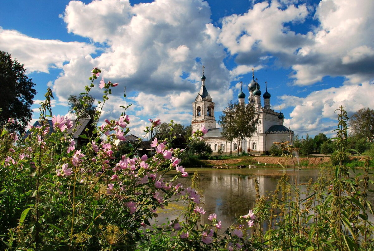 Источник фото: Яндекс Картинки