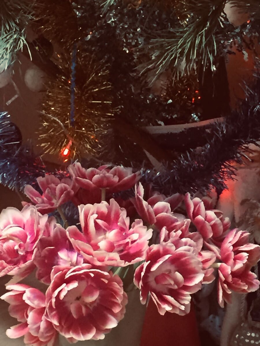 Фото Сергея Анри