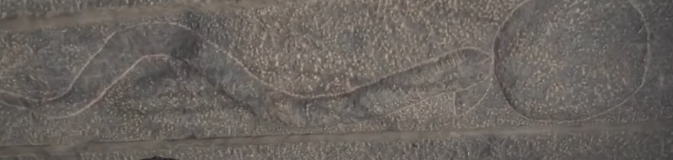 Изображение взято из открытого источника 