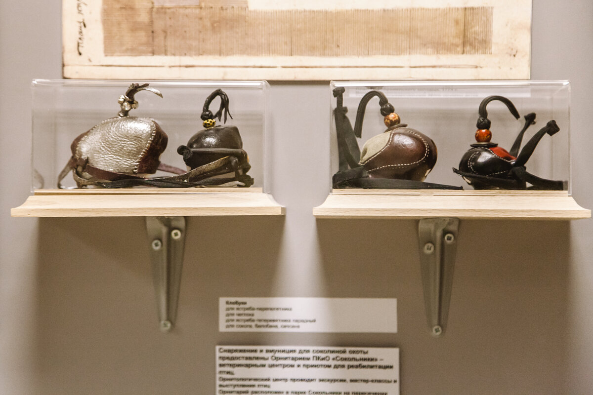 Клобучки для соколов (колпак, надеваемый на голову ловчим птицам). Вид экспозиции выставки «Портрет на фоне пейзажа» в Музее парка «Сокольники». 