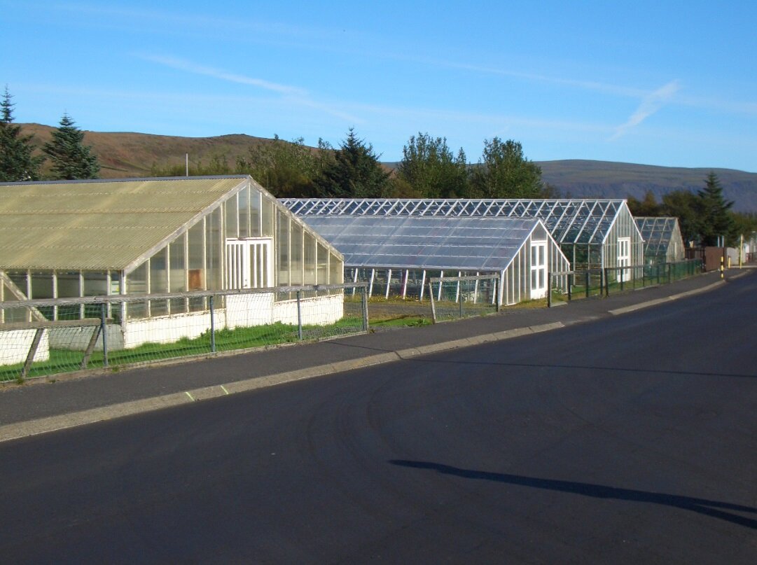 Теплицы в Хверагерди. Фото из интернета