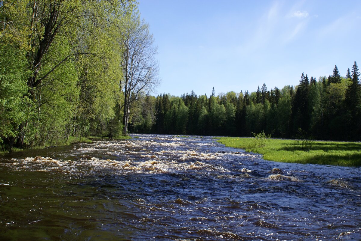 Водлозерский национальный парк весной