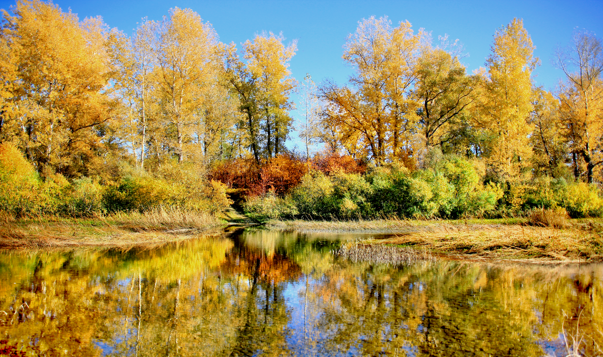 Фотография, стихотворение Василия Глуцкого