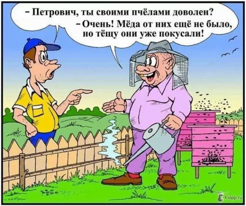Потрясающие карикатуры про дачников на klopp.ru 