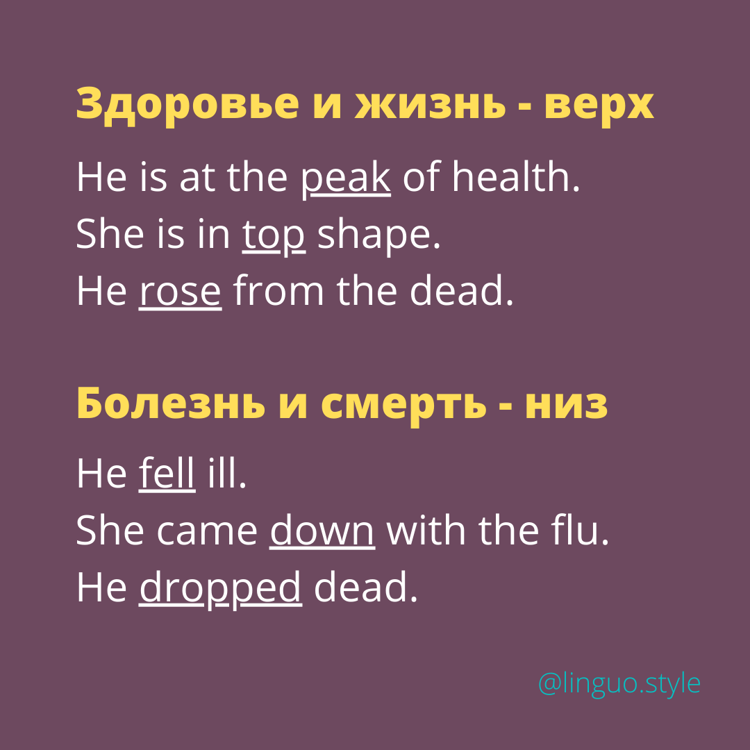 Букв.: Он на вершине здоровья. Она в высшей форме. Он поднялся из мёртвых.
Он пал больным. Она слегла с гриппом. Он упал замертво.