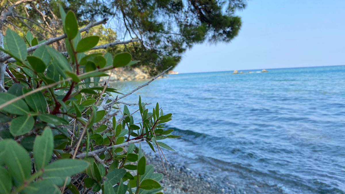 Пляж Фазелис