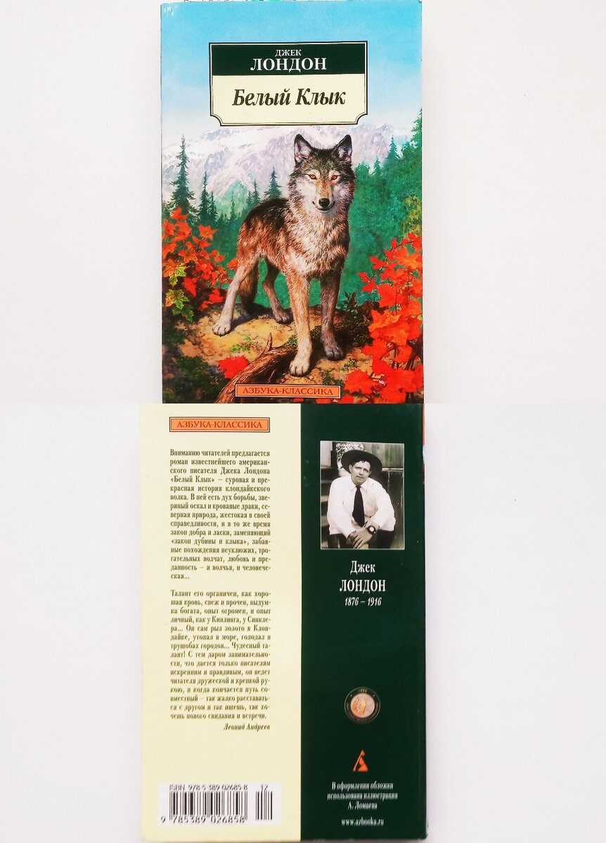 Это моя книга. К сожалению без картинок(. зато обложка огонь!