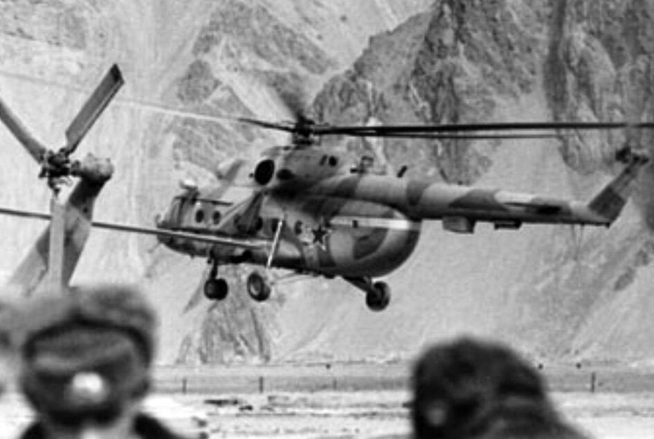 фото из интернета.