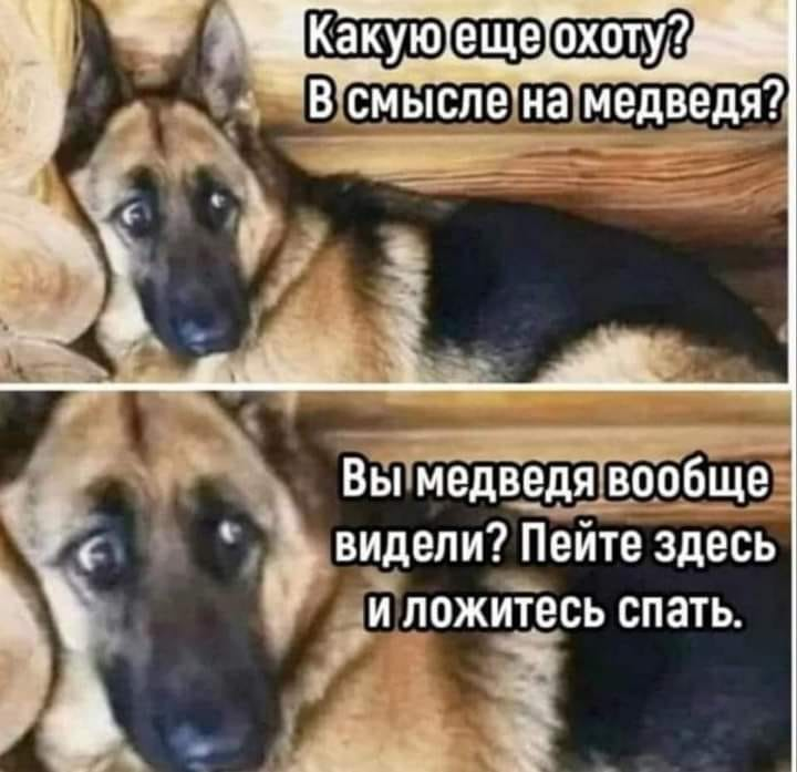 Связь текста (слов) и изображения конструирует что: новые слова; новое значение; новую мысль; эмоцию; улыбку?
♦
https://www.facebook.com/mgorskih/posts/pfbid0LGc46bvzWsfmhE3YfQREPgqf96C69MRSVsXikmmdKLsoXcLi2AmJerQSVVJKSGAKl
