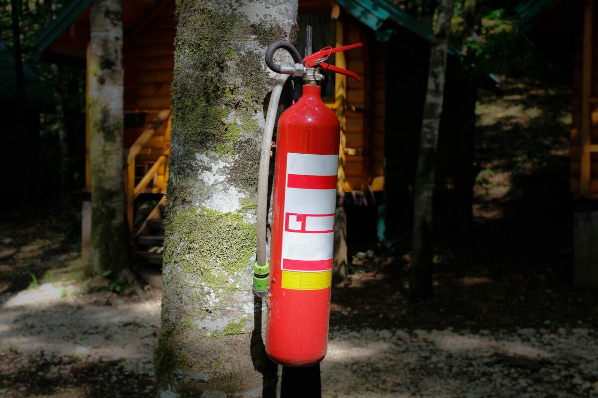   Фото: Istockphoto