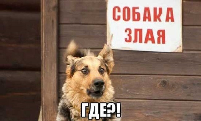 картинка из свободного доступа в интернете