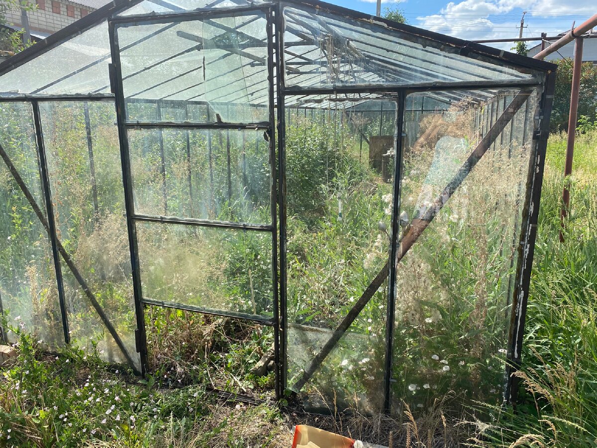 Теплица своими руками. Ремонт старых теплиц. Крепление стекла в теплице. Теплица после зимы. Ремонт старых теплиц.