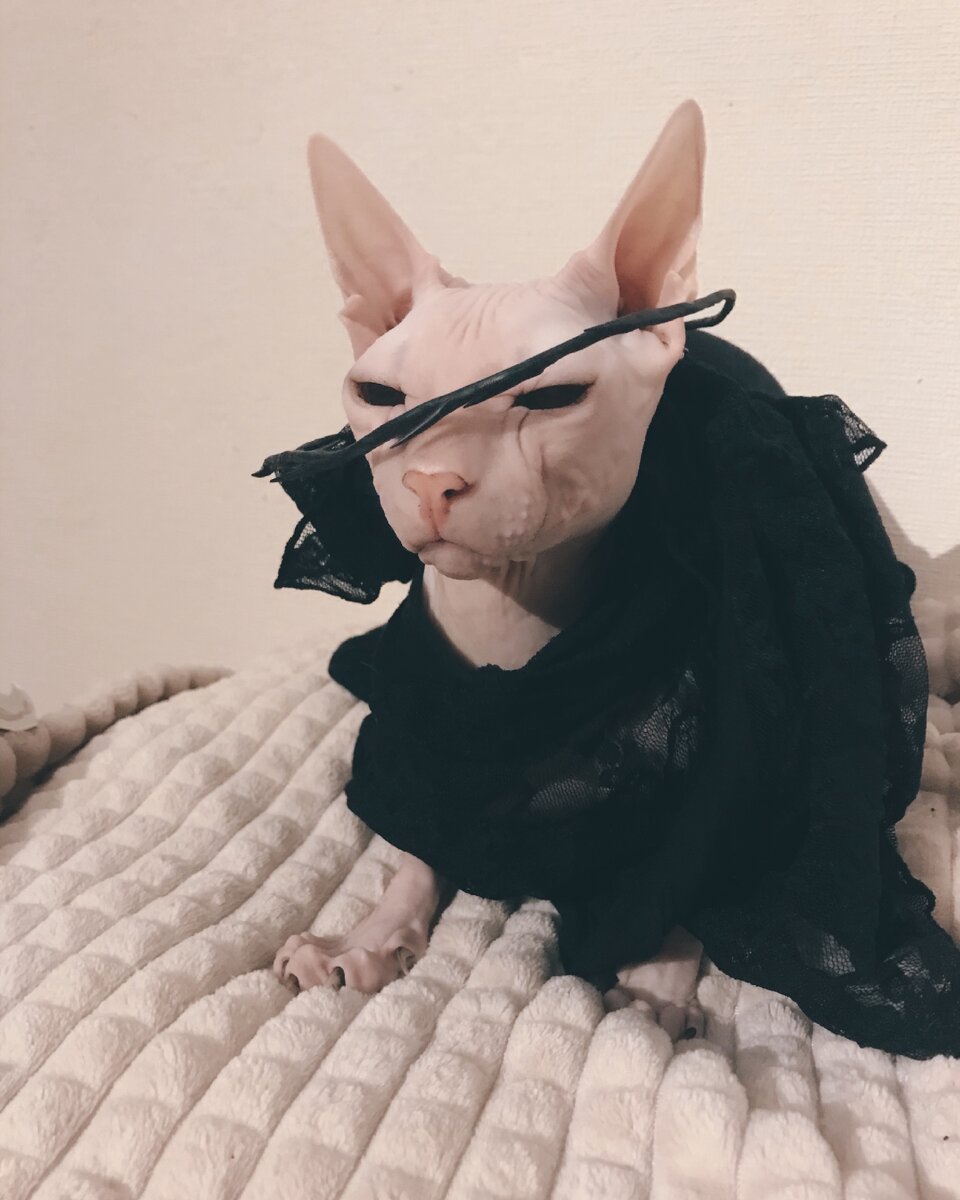 Принц Лестат