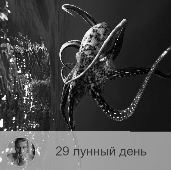 29 лунный день фото