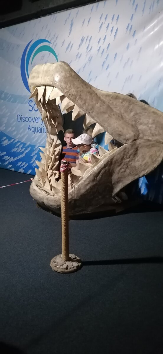 Вот место для бесплатной фотографии в дельфинарии.