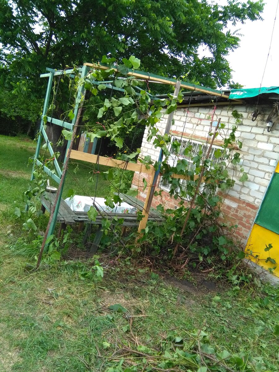 Вот такая беседка была у прежних хозяев.