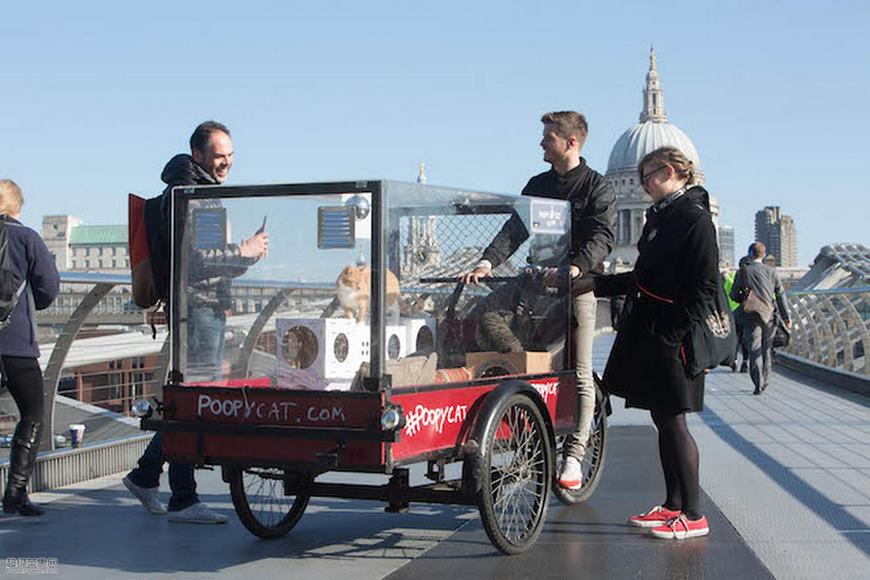 Все хотят сделать селфи с необычных кошачим домом на колесах