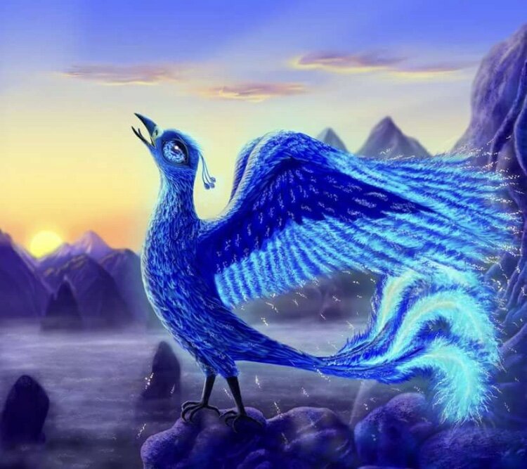 Картинка из свободного источника в сети Интернет 