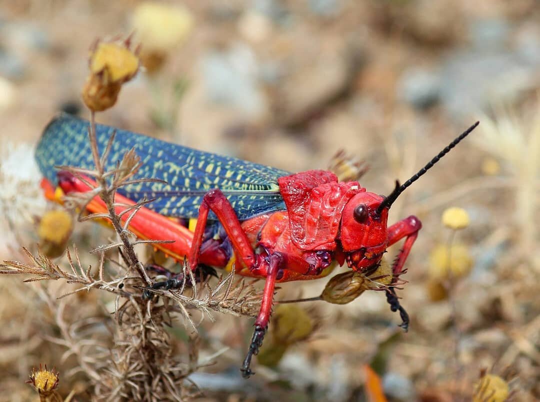 Фото сайта Canva