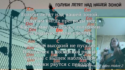 Голуби летят над нашей зоной