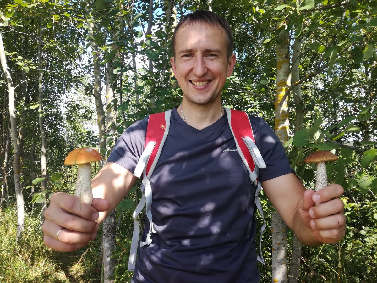 Какой гриб лучше - подосиновик или подберезовик