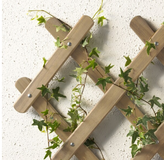                                       Фото сайта       https://www.ikea.com/