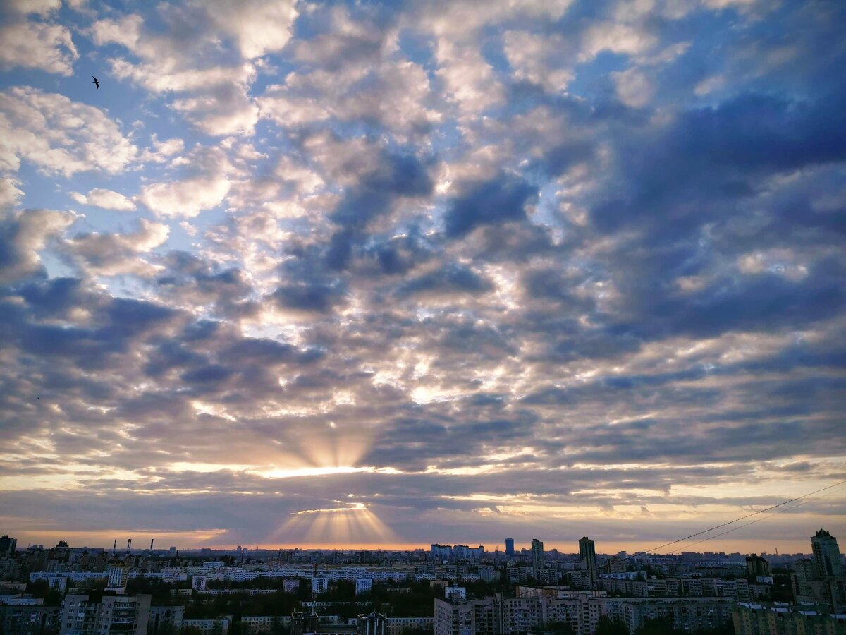 Фотограф: Жанна Швыдкая