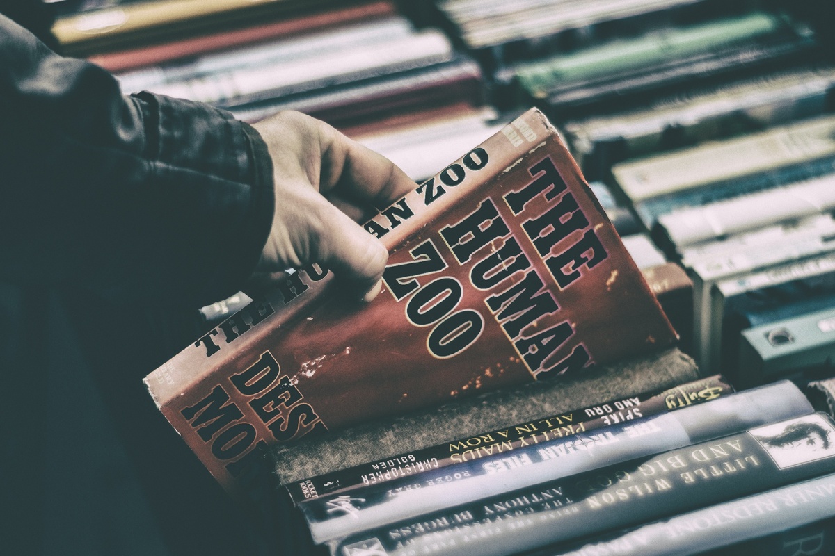 James Sutton Unsplash