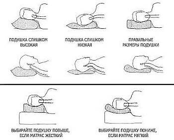 Очень хорошая картинка для подбора подушки