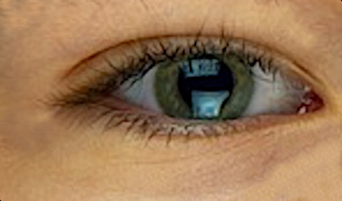 фрагменты всех фото из бесплатного фото банка pixabay.com