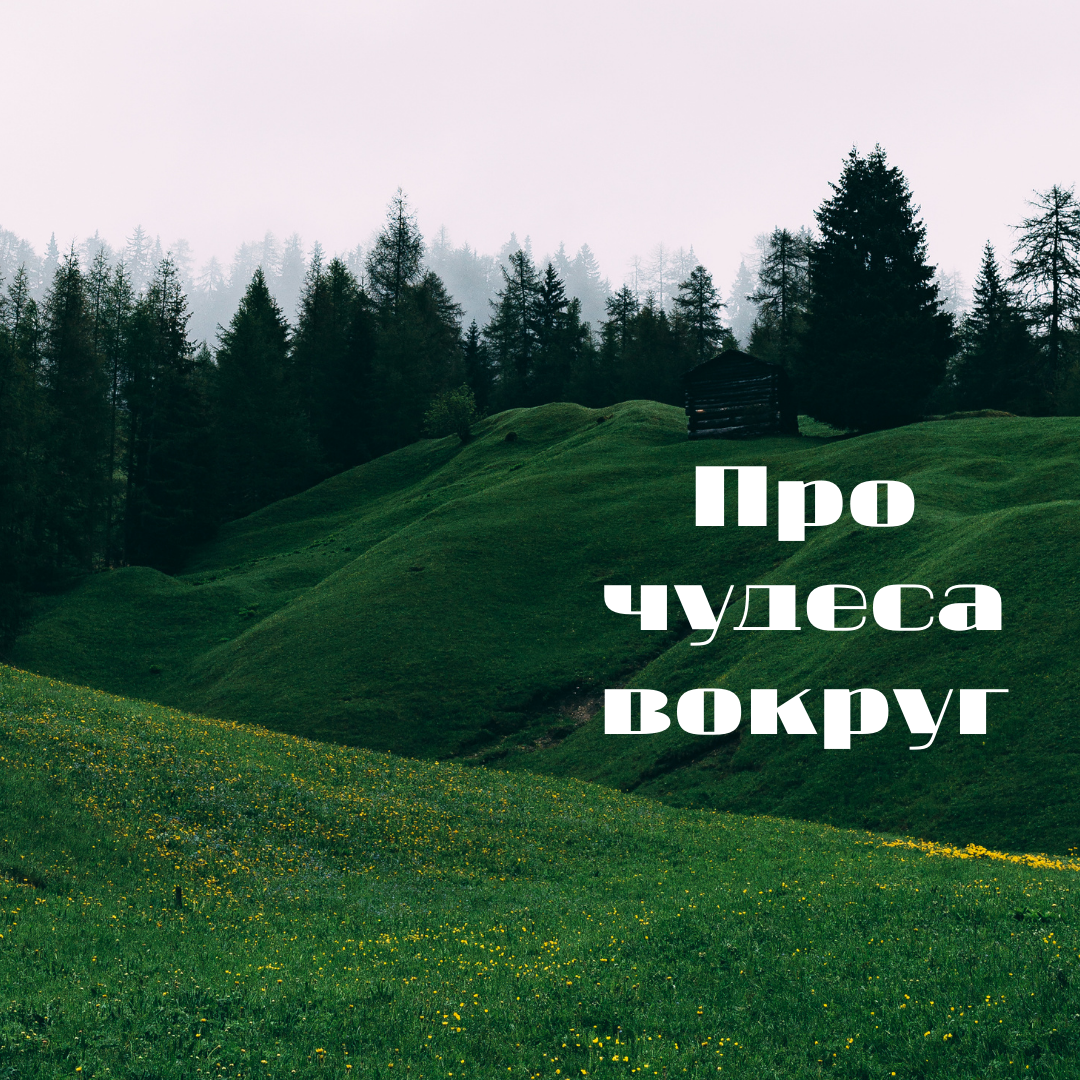 Изображение взято из открытых источников без указания авторства.