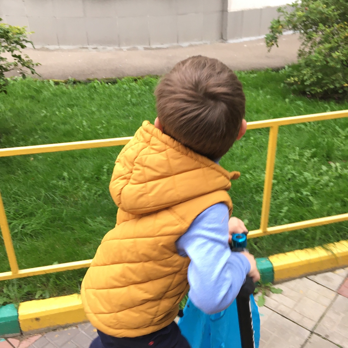 Протест маленького человека )