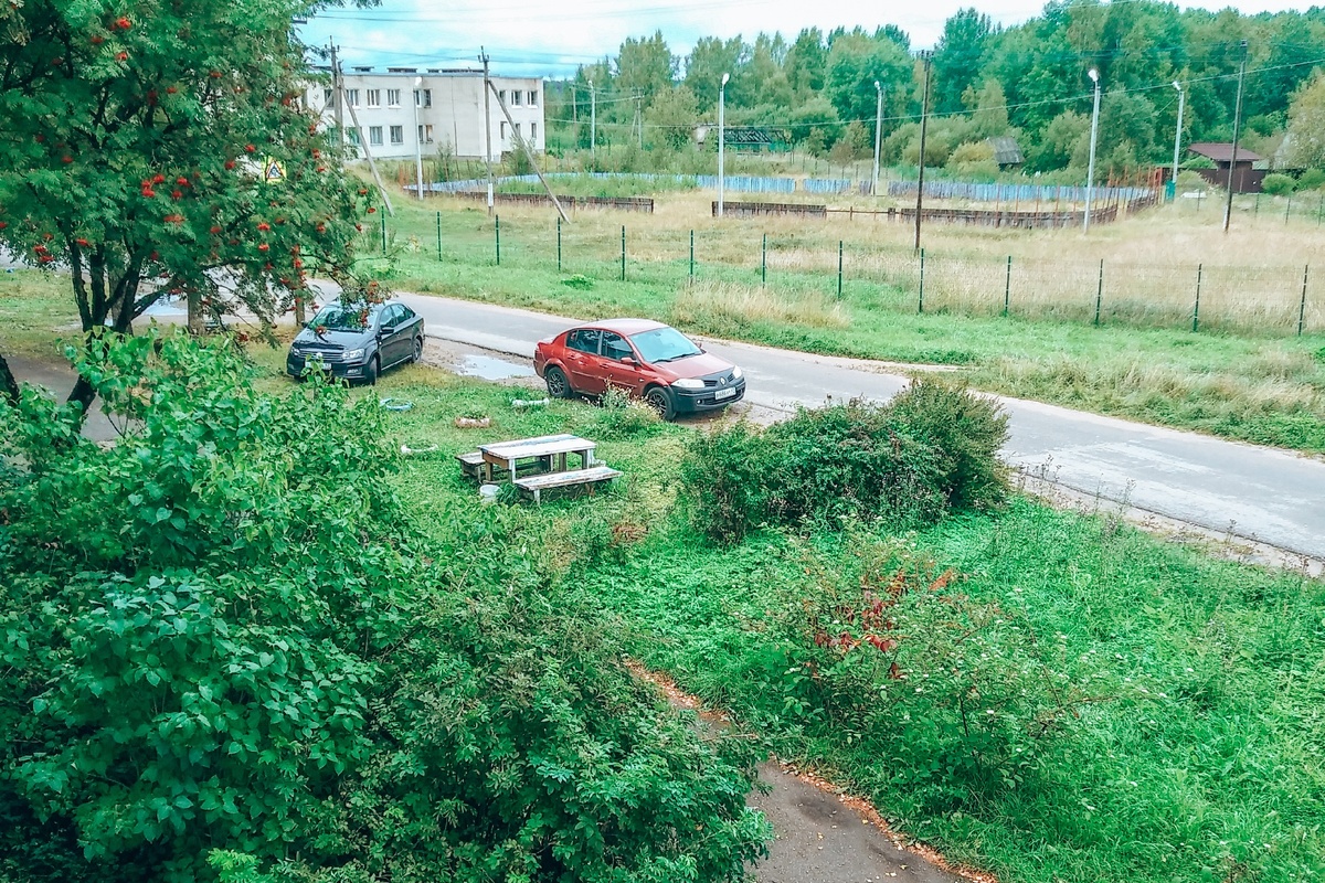 Вид из окна