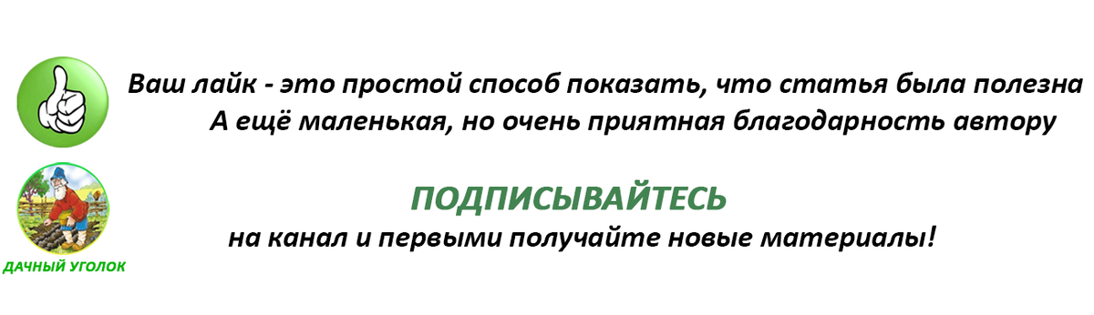 Лунный календарь садово-огородных работ на сентябрь 2020 года