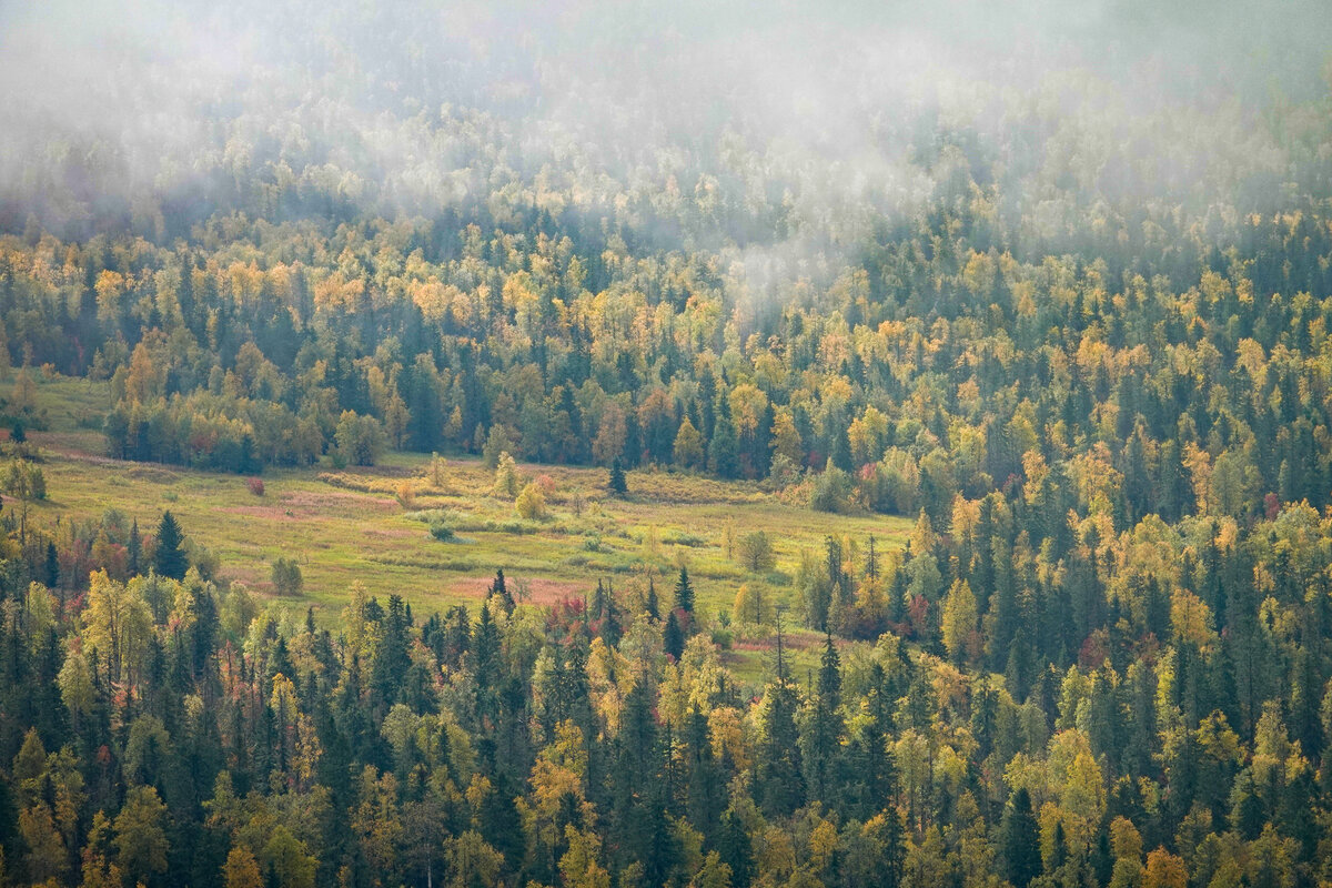 Заповедник Басеги Пермский край зима