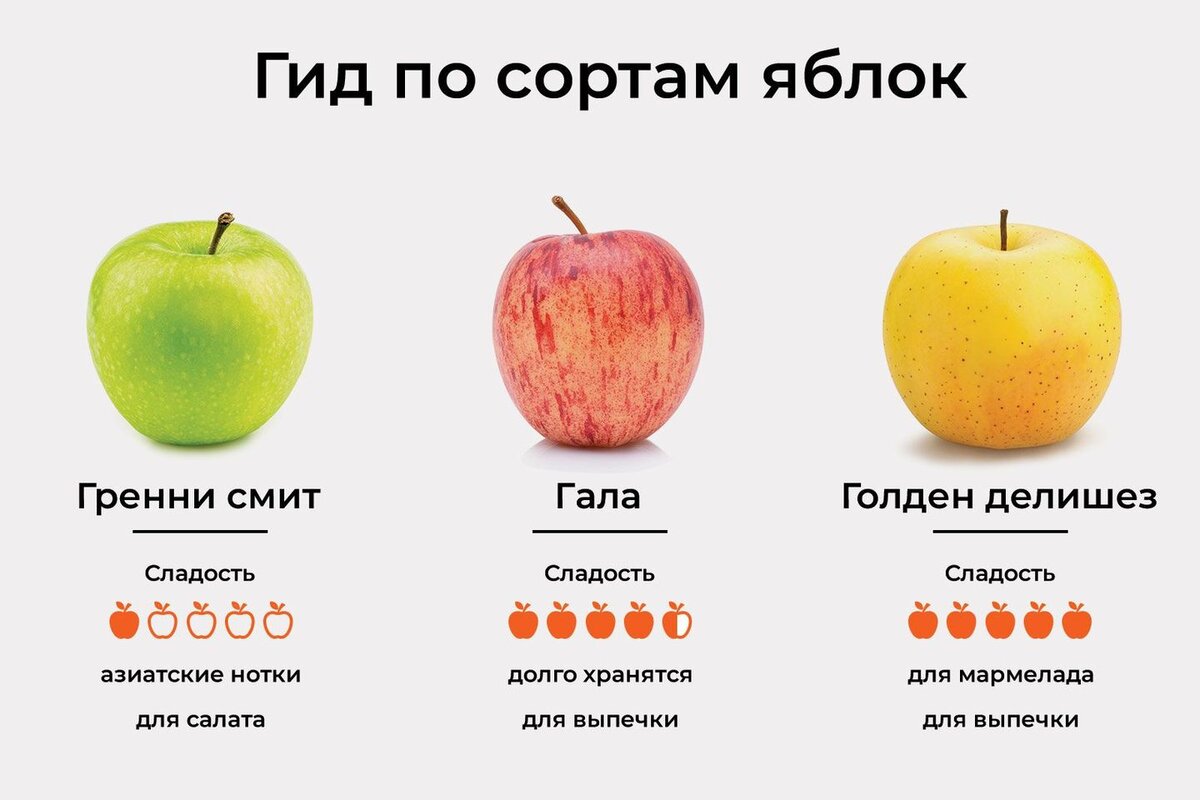 Гид по сортам яблок