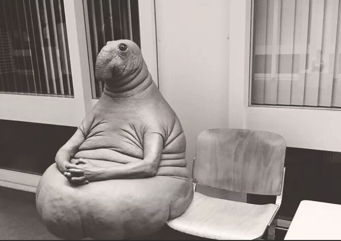 фото https://yandex.ru/images