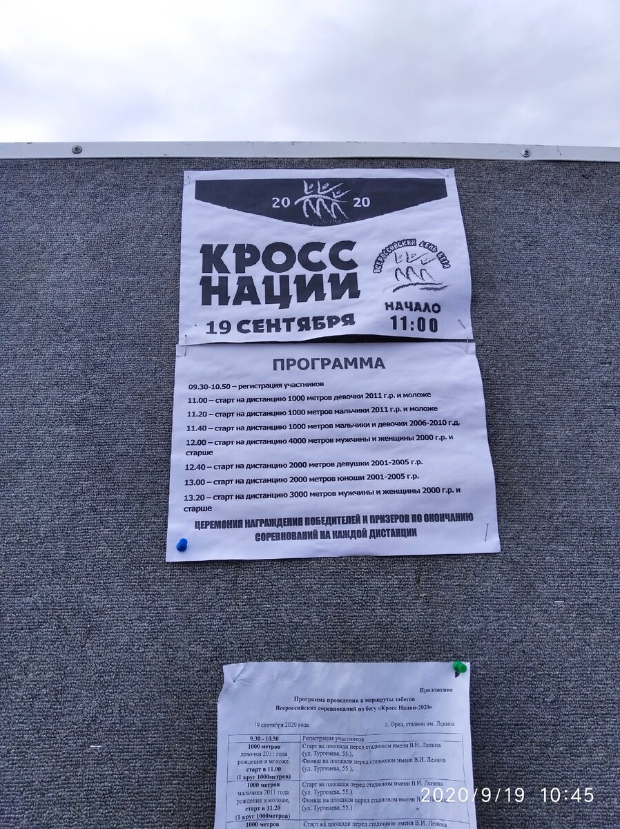 Кросс Нации. Странности проведения. Страшно бежать | Мама в спорте | Дзен