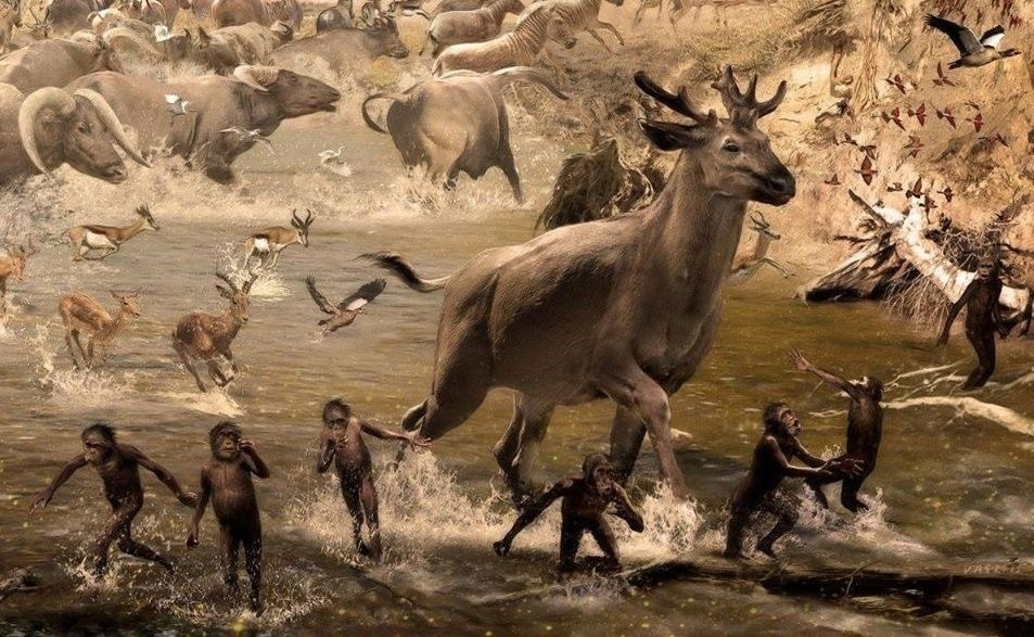 Когда привёл на пляж собаку, а она побежала играть с маленькими детьми.