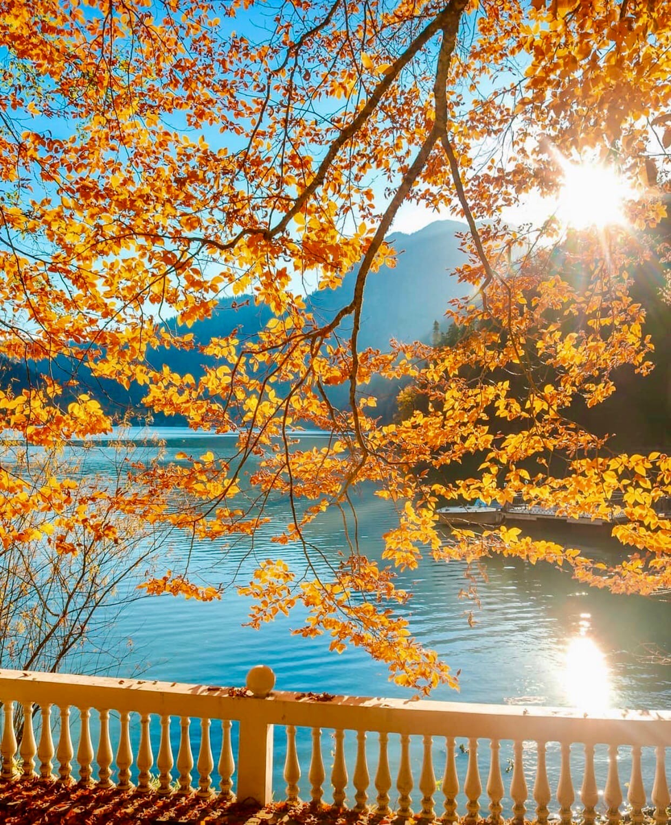 Источник: @sohranis