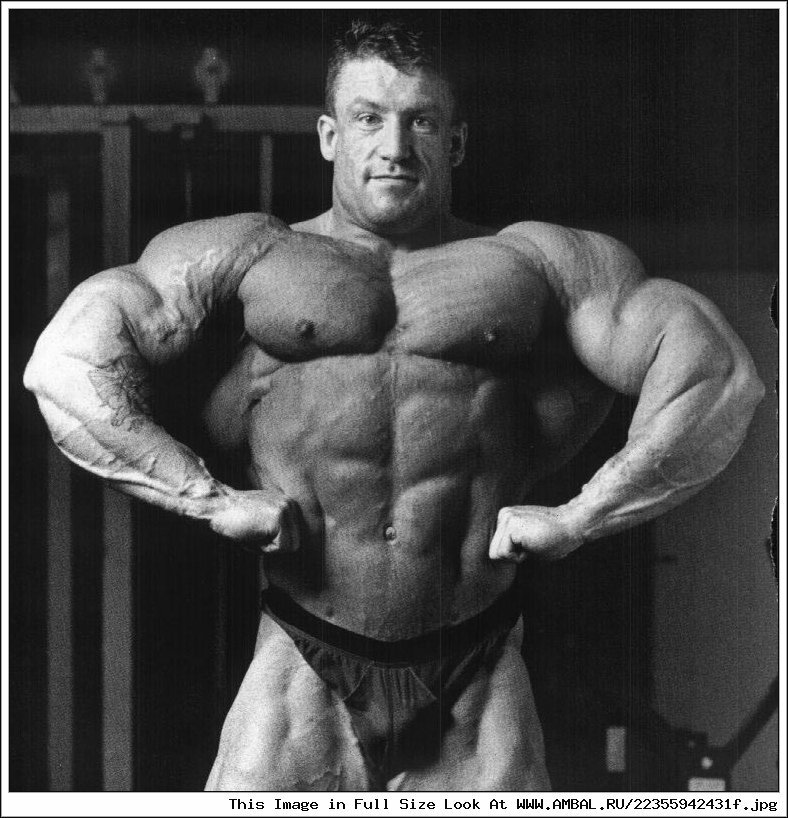 Изображение взято с Яндекс картинки