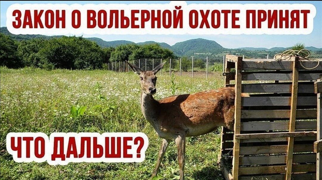 Закон о "вольерной охоте" 
