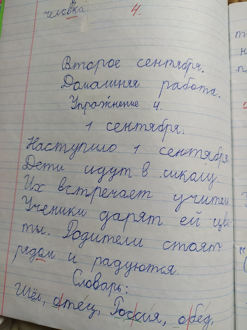 Сочинение Оксаны или записки участкового.