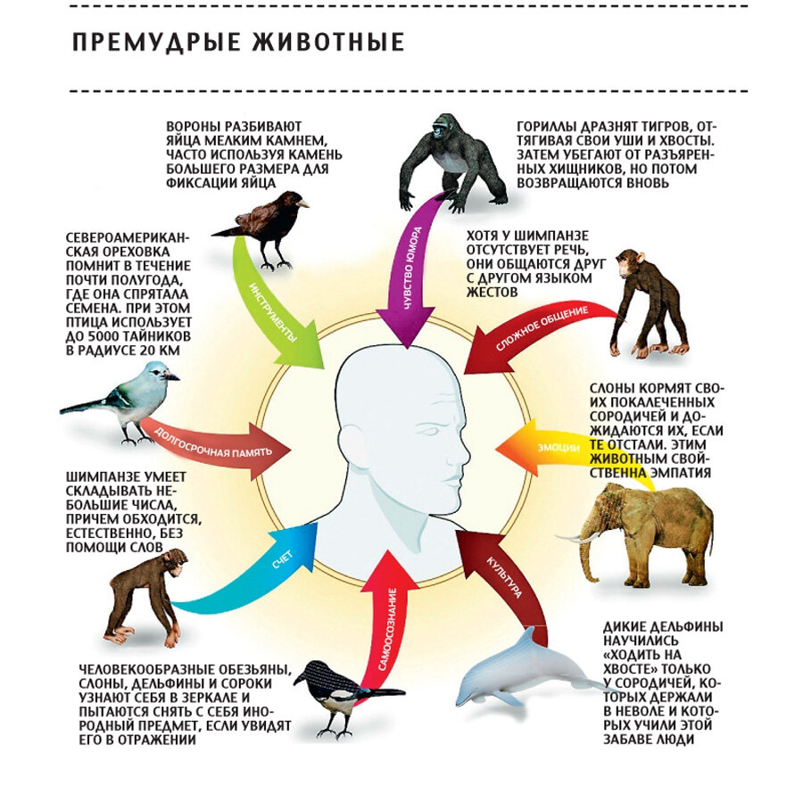 Интересные факты.