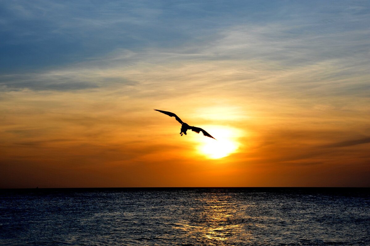 https://pixabay.com/images/id-2206510/