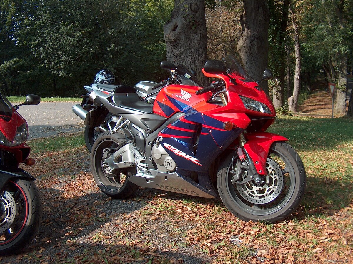 хонда сбр 600 ф4. хонда сбр 600рр. Honda 600rr 2021. мотоцикл honda 600. Honda cbr600rr.